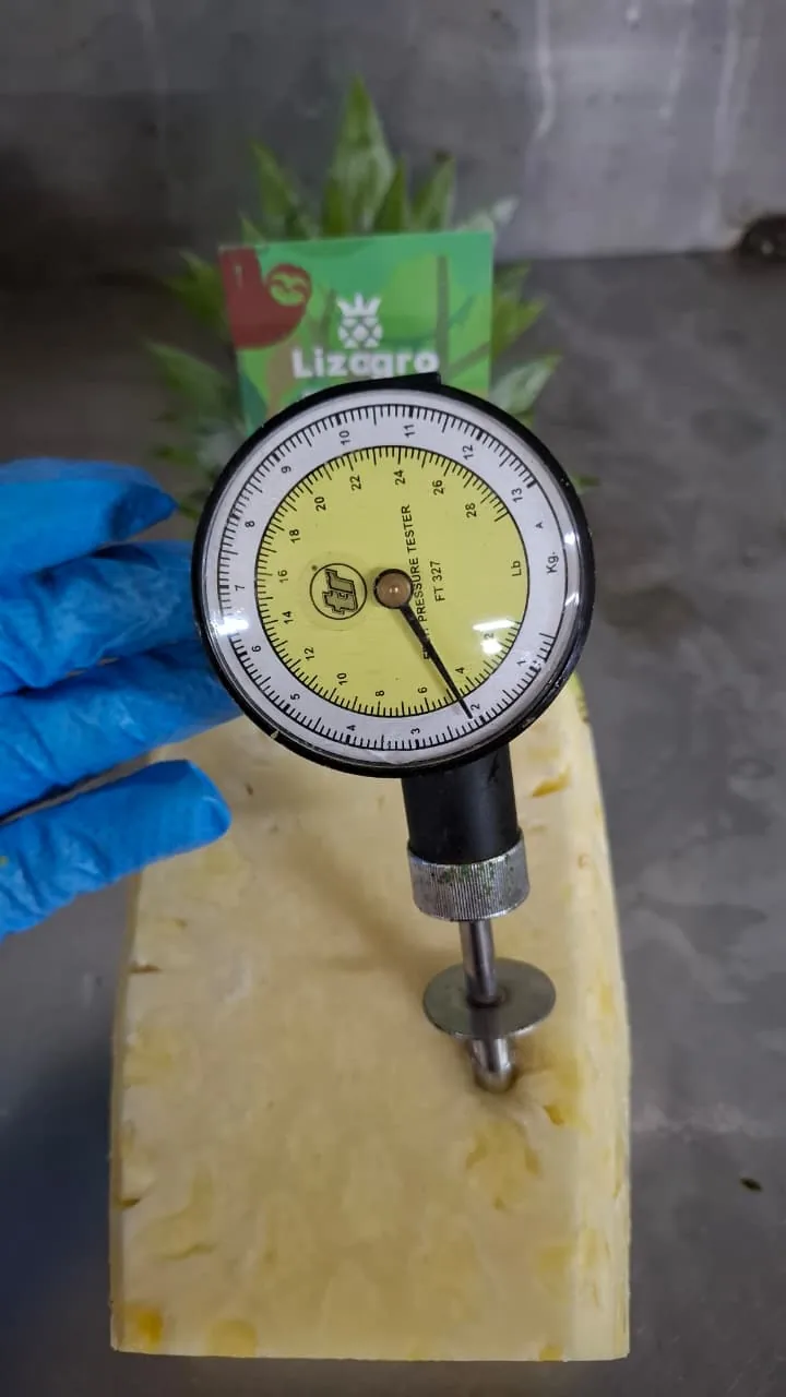 Prueba de firmeza interna